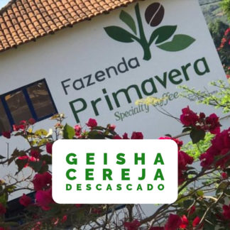 Geisha da Fazenda Primavera - GE#21 CD - 800g