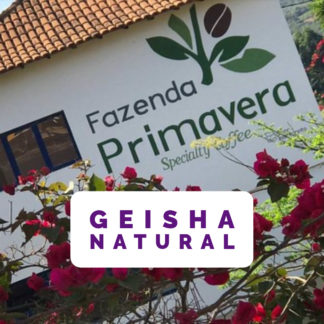 Geisha da Fazenda Primavera - GE#12 NATURAL - 800g