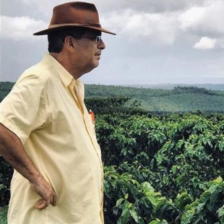 Café Verde do Sérgio Meirelles